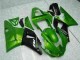 00-01 Green YZF R1 Motorcycle Fairings 00-01 Green YZF R1 Motorcycle Fairings