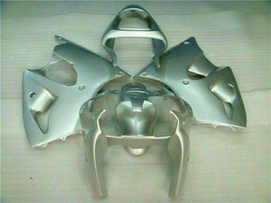 00-02 Silver ZX6R Motorcycle Fairings